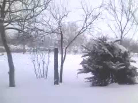 IARNA GREA SI IN MERISANI.flv