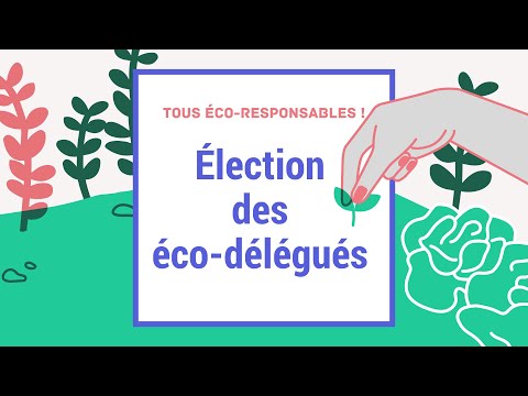Les 5 missions de l'éco-délégué
