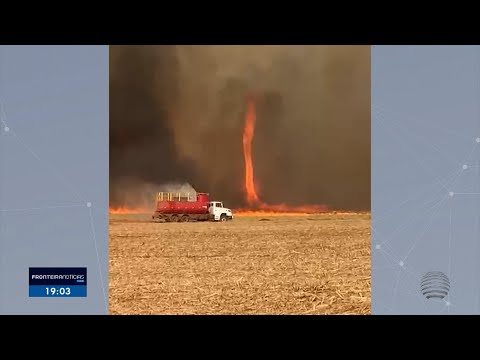 Força-tarefa combate incêndio na zona rural de Flórida Paulista
