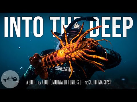 INTO THE DEEP | Spearfishing The California Coast