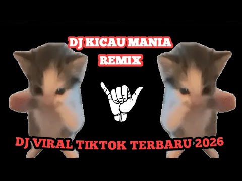 DJ KICAU KICAU KICAU MANIA SLOW VIRAL TIKTOK FULL SONG MAMAN FVNDY 2026 