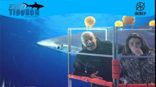 DIA 3 Expo Tiburon102