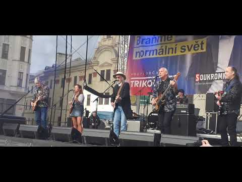 Žlutý pes - Modrá je dobrá