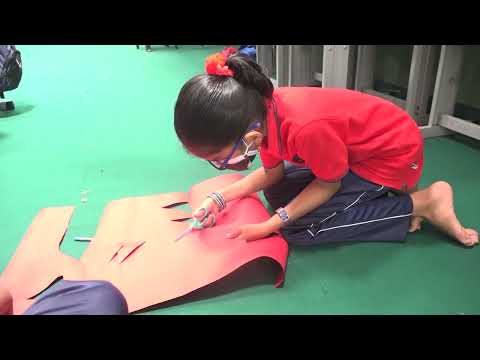 Cambridge Primary Mathematics : Stage 4