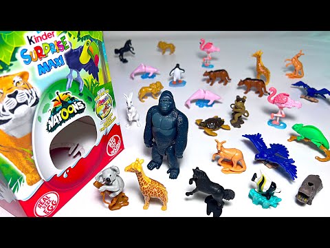 Sea Animals, Wild Animals - Penguin, Dolphin, Gorilla, Horse, Giraffe, Penguin, Koala, Fish, Hippo