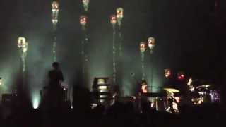 Grizzly Bear at House if Blues