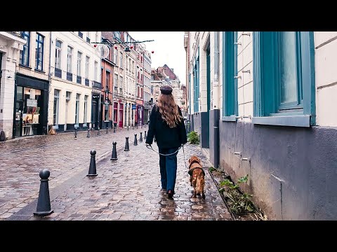 Lille (France) Walk After the Rain 4K HDR | Calm Sunday Walk | Old Town & Market