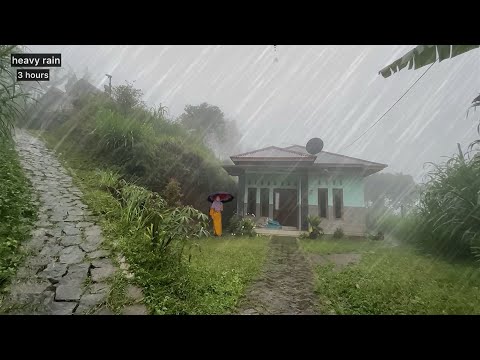 Walking under heavy rain in Indonesia's mountain villages||a cure for insomnia