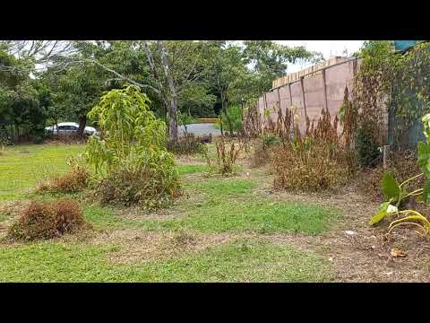 Imagen de Venta de Lotes y Terrenos en San miguel - Desamparados San Miguel - SAN JOSÉ