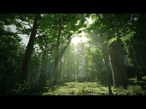Oak Trees -  Cinematic Demo - Unreal Engine 4 (4K)