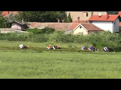 Trka "Slobodan Simonović Sipa" 16.06.2019 NAPOLITAIN - Milan Konkolj