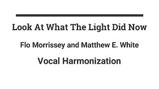 Look At What The Light Did Now-Flo Morrissey + Matthew E. White Harmonization (tutorial)