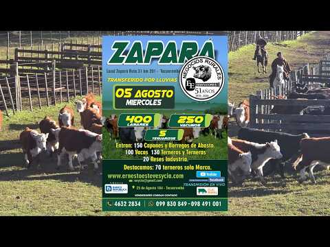 Remata Ernesto Esteves y Cia - Local Zapará Tacuarembó- 05 de Agosto de 2026