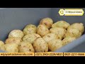 Mesin Pengupas Kulit Kentang / Potato Peeler HLP-15 2