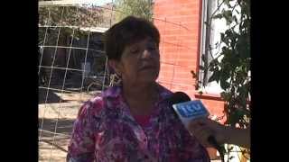 preview picture of video 'Matanza de Perros en Chincolco'