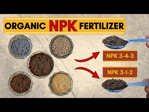 How to Make Organic NPK Fertilizer at Home | Best Fertilizer for Vegetables and Flowering Plants