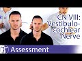 Cranial Nerve 8 Examination Vestibulocochlear Nerve Assessment For Physiotherapists