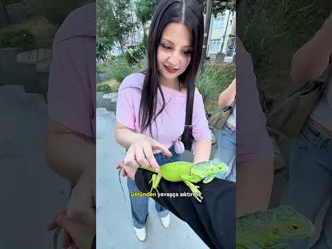 Bağcığımı bağlamam gerekiyor