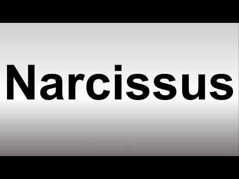 How to Pronounce Narcissus