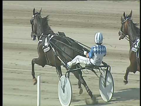 Trotto 08/06/2017 - 6ª corsa