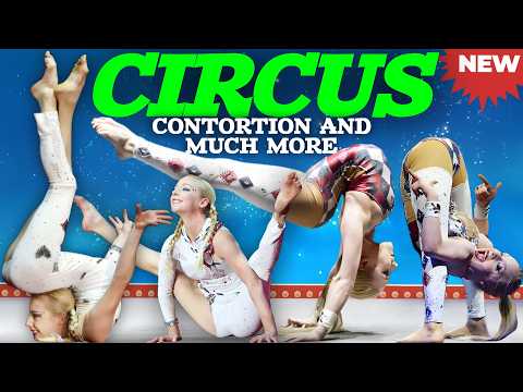 🆕 CIRCUS SHOW 2026 💫 Contortion Amazing Flexibility 🤸‍♀️ Awesome Aerial Tricks ⭐ Unbelievable Stunts