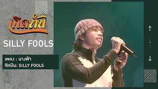 นางฟ้า – Silly Fools