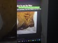 The Dark Web Shoes Are Coming Darkweb
