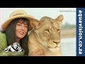 John Varty S Song For Shingalana The Little Hunter