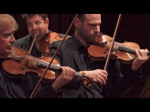 Janáček Leoš - Idylle, pour cordes - ORCW, Jean-François Chamberlan - [LIVE] 4k