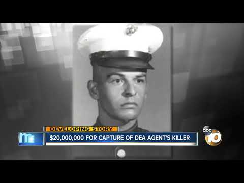 download lagu mp3 mp4 Kiki Dea, download lagu Kiki Dea gratis, unduh video klip Kiki Dea