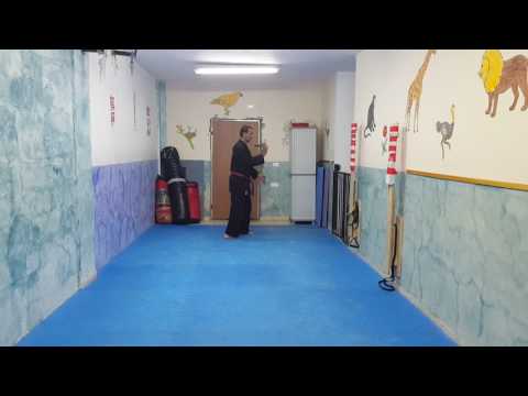 KATA TAIKYOKU MAWASHI UKE