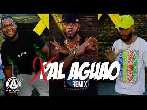 Musicologo 📚 ❌ Kings Evolución - (NO SON PURO) #XPalAguaoRemix (Video Oficial)