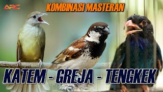 Download lagu MASTERAN  KAPAS TEMBAK - TENGKEK BUTO - GREJA TARUNG mp3