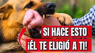 ¡Él TE ELIGIÓ! Mira las 7 SEÑALES que lo PRUEBAN — ¡la #5 es SORPRENDENTE!