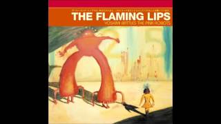 the flaming lips - fight test