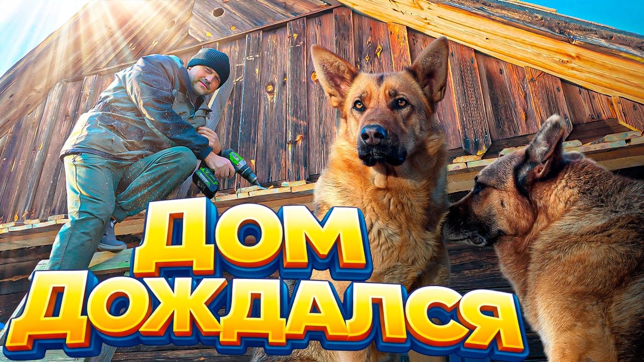 Жизнь набирает  обороты. Реставрация старого дома. Что с прудом? Всё познаётс