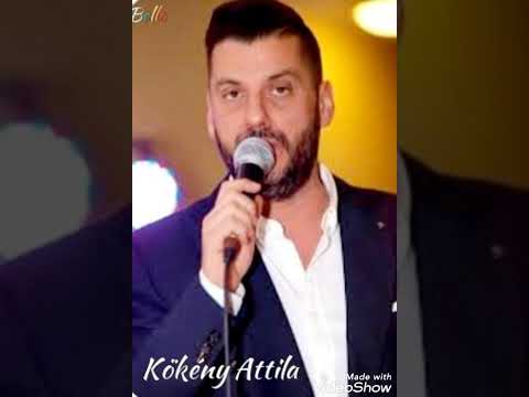 Kökény Attila  - Szól a fülemüle...