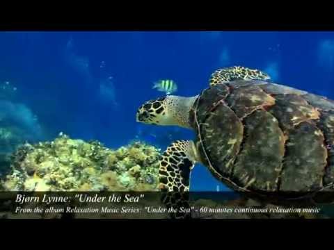 Bjørn Lynne (as Relaxation Music Series): Under the Sea - Bjorn Lynne official