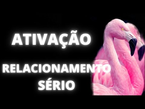 SERIOUS RELATIONSHIP ACTIVATION | FLAMINGO ARCHETYPE