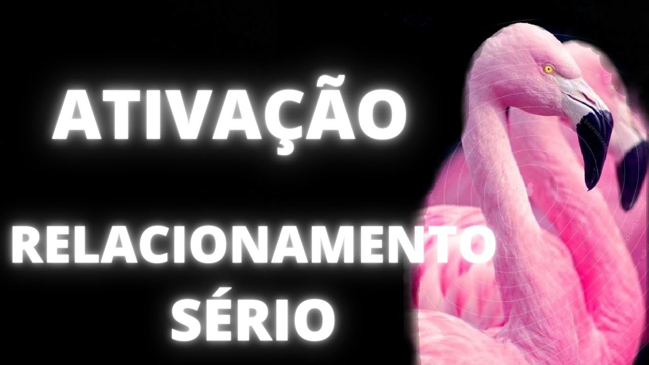 ATIVAÇÃO RELACIONAMENTO SÉRIO|ARQUÉTIPO DO FLAMINGO