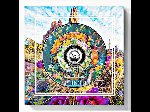 DUB TECHNO AMBIENT  - SPACE VIEW X #81 - mixed by Matthias Springer