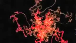 Pegleg Pig - &quot;No One Gets Out Of Here Alive&quot; from &quot;A Twisted Tale&quot;.