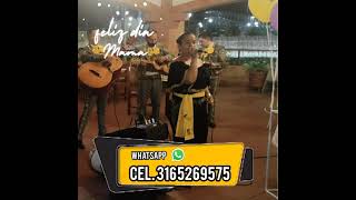 Video de Mariachi Mi País