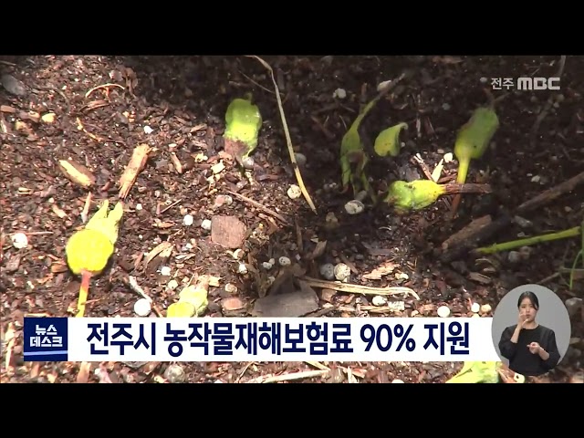 전주시 농작물재해보험 가입비 지원