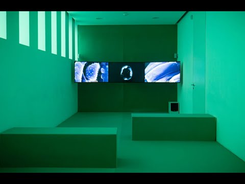 Diana Policarpo | Reason is a Flower - Thoughts on Art and Science