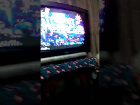 My cat 😻 watching tv. ටීවී බලන පූසෙක්