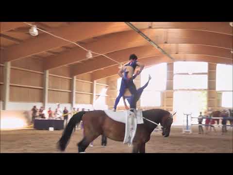 Voltigieren - Turnier Gilching 2018 -  Gruppe Gilching 1