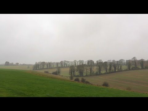 Trust and Obey by Chelsea Moon & The Franz Brothers