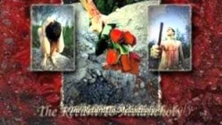 Red Roses For A Blue Lady - S.R. 241