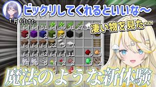 【あらなみマイクラ】「整」の喜びを知るみかるん【にじさんじ切り抜き/先斗寧/蝸堂みかる】
